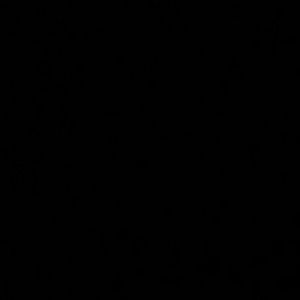 Meet your Posher, Nergis